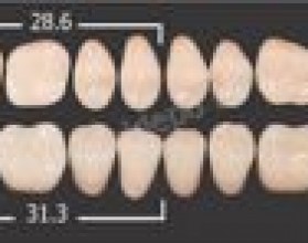 Зубы акриловые двухслойные на планках (28шт) ф 22 цв А2